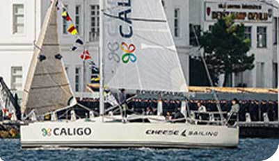 Cheese_Sailing_Caligo